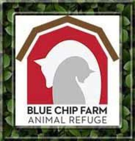 blue chip farm animal refuge|blue chip animal rescue dallas pa facebook.